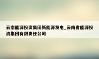 云南能源投资集团新能源发电_云南省能源投资集团有限责任公司