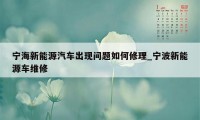 宁海新能源汽车出现问题如何修理_宁波新能源车维修