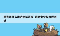 黑客用什么渗透测试系统_网络安全和渗透测试