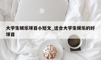 大学生娱乐项目小短文_适合大学生娱乐的好项目