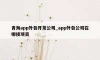 青海app外包开发公司_app外包公司在哪接项目