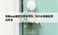 电脑app播放没声音咋办_为什么电脑应用没声音