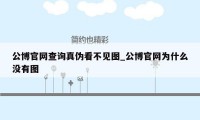 公博官网查询真伪看不见图_公博官网为什么没有图