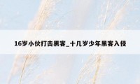 16岁小伙打击黑客_十几岁少年黑客入侵