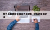 犍为县有修新能源面包车的吗_犍为新能源企业