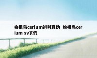 始祖鸟cerium辨别真伪_始祖鸟cerium sv真假