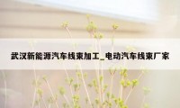 武汉新能源汽车线束加工_电动汽车线束厂家