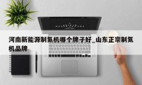 河南新能源制氮机哪个牌子好_山东正宗制氮机品牌