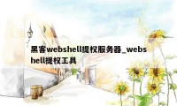 黑客webshell提权服务器_webshell提权工具