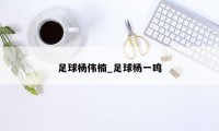 足球杨伟楠_足球杨一鸣