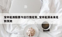 宝丰能源股票今日行情走势_宝丰能源未来走势预测