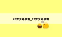 20岁少年黑客_12岁少年黑客