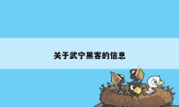 关于武宁黑客的信息