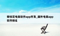 攀枝花电商软件app开发_国外电商app软件排名