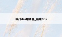 厦门dns服务器_福建Dns