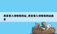 黑客爱入侵哪类网站_黑客爱入侵哪类网站最多