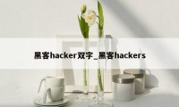 黑客hacker双字_黑客hackers