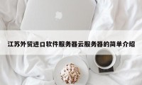 江苏外贸进口软件服务器云服务器的简单介绍