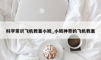 科学常识飞机教案小班_小班神奇的飞机教案