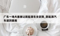 广东一场大暴雨让新能源车主欲哭_新能源汽车遇到暴雨