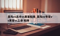 菜鸟vs高手vs黑客陷阱_菜鸟vs专家vs黑客vs上帝 陷阱