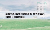 华为手表gt2如何分辨真伪_华为手表gt2如何分辨真伪图片