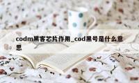 codm黑客芯片作用_cod黑号是什么意思