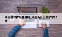 中国足球扩军有用吗_中超为什么不扩军20支