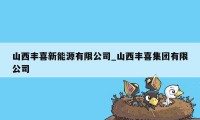 山西丰喜新能源有限公司_山西丰喜集团有限公司