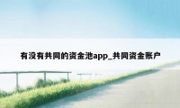 有没有共同的资金池app_共同资金账户