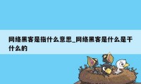 网络黑客是指什么意思_网络黑客是什么是干什么的