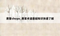 黑客shuyu_黑客术语基础知识快速了解