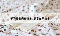 学习黑客安全技术_黑客必学技术