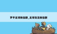 罗平足球微信群_足球交流微信群