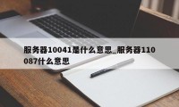 服务器10041是什么意思_服务器110087什么意思