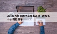 20-30万新能源汽车哪家正规_20万买什么新能源车