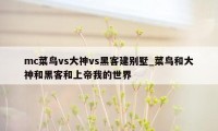 mc菜鸟vs大神vs黑客建别墅_菜鸟和大神和黑客和上帝我的世界