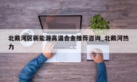 北戴河区新能源高温合金推荐咨询_北戴河热力